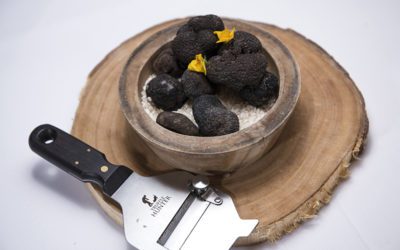 Umbria Italian Black Truffles at Greystone