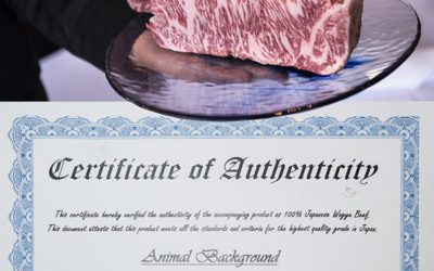 Certificate of Authenticity for the 100% Japanese Wagyu Beef served at Greystone